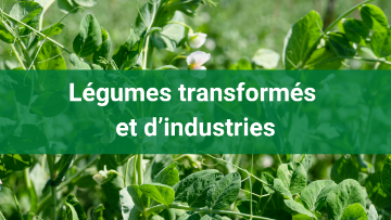 Légumes transformés